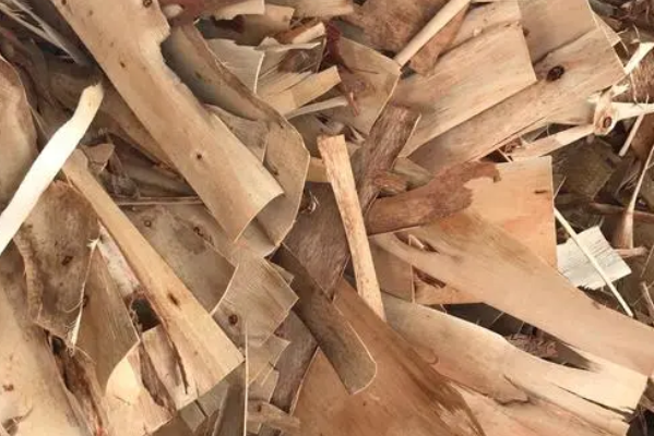 利用桉树皮制备碳粉的原理及过程