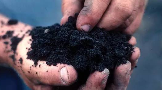 像桉树皮，杉木皮这样的原料，空隙大，重量轻，适用于深加工制作活性炭等。