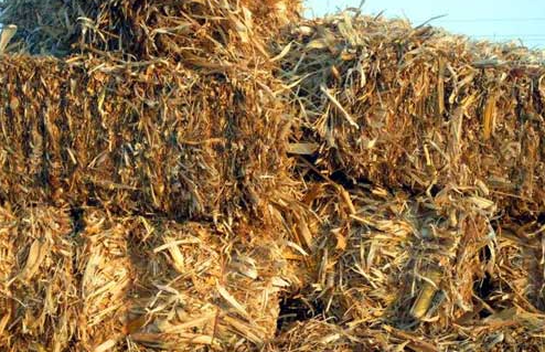 小型生物质星空彩票手机下载  农业废弃物的转化神器